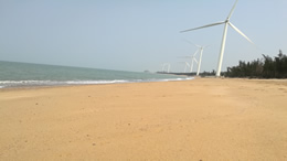 海南文昌：椰风海韵间的味觉与心灵之旅