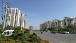 海口味觉地图——探寻椰城的美食宝藏